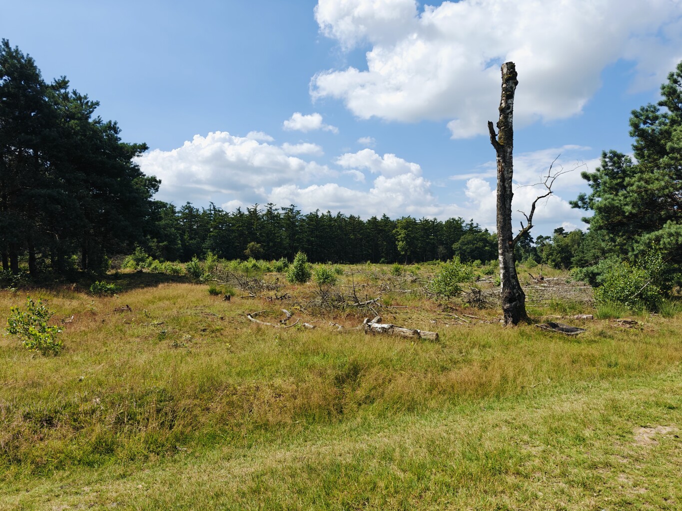 Woeste Route Salland