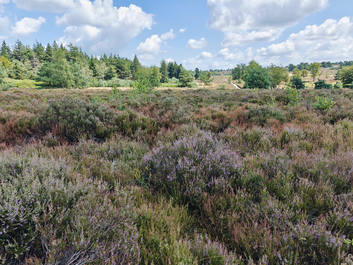 Woeste Route Salland