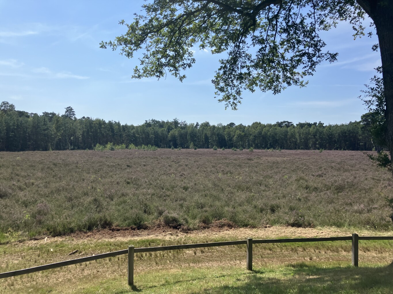 Loenen - Brummen · Trekvogelpad etappe 19