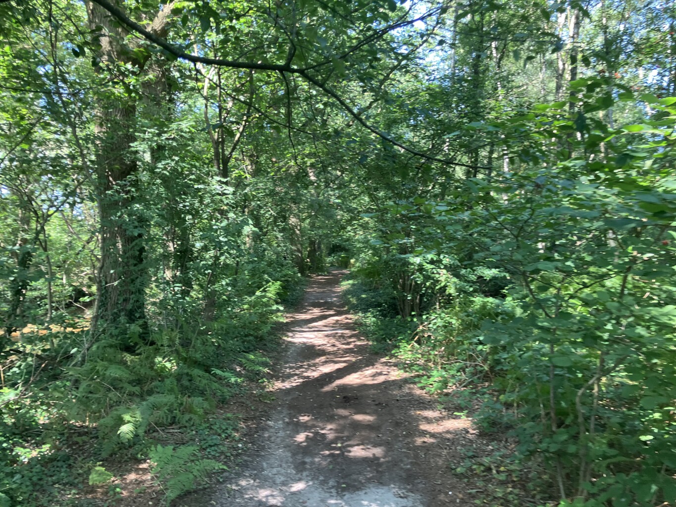 Loenen - Brummen · Trekvogelpad etappe 19