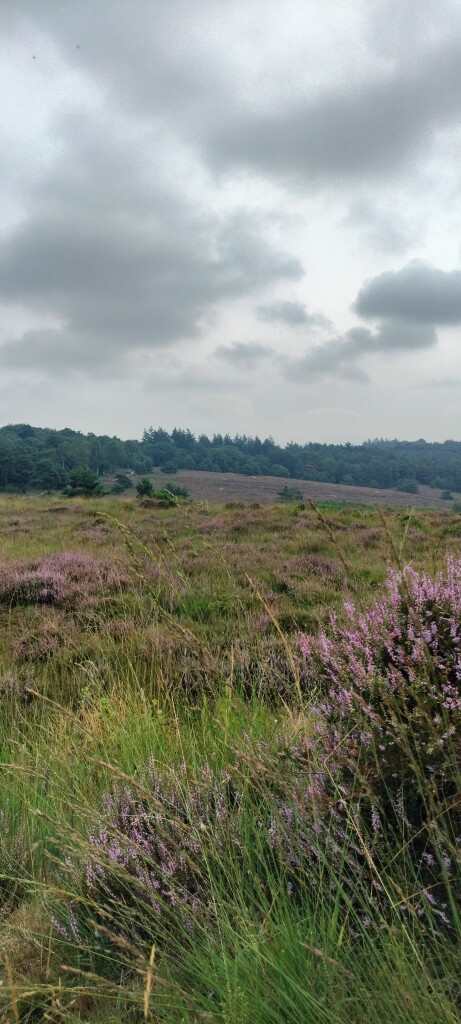 Airbornepad Market Garden - 23 · Airbornepad etappe 23