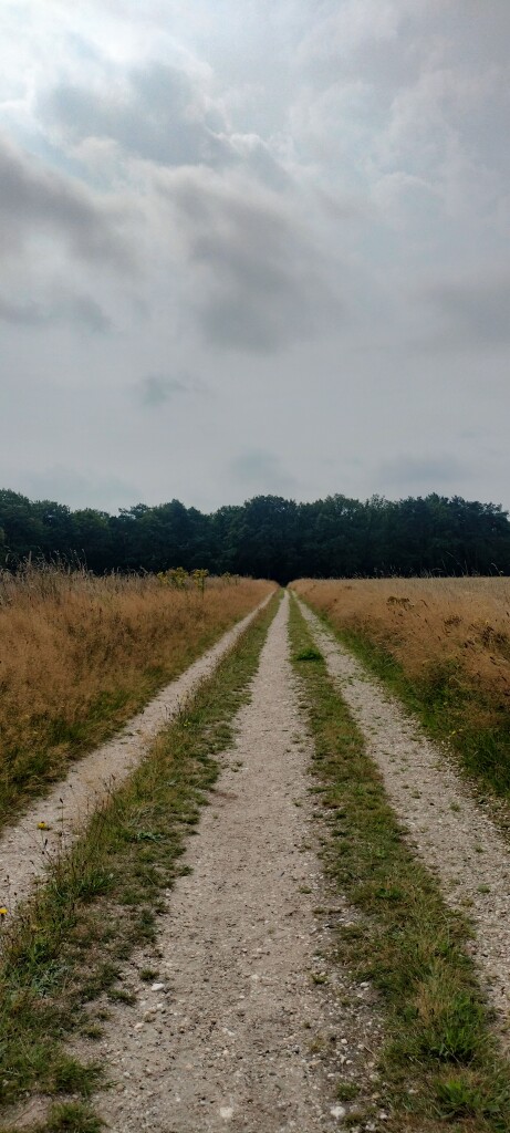 Airbornepad Market Garden - 23 · Airbornepad etappe 23