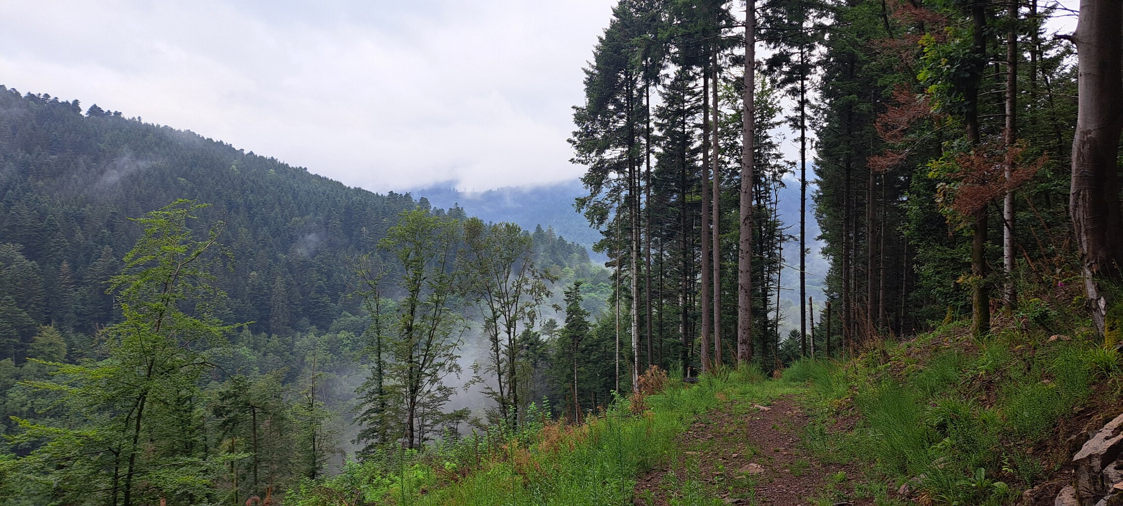 Schirmeck - Le Hohwald · GR5 etappe 46