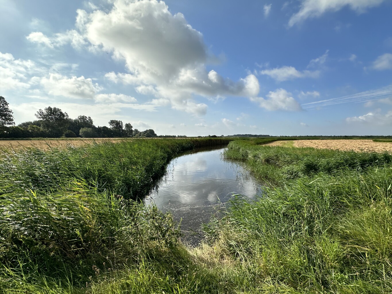 Goedereede - Renesse · Jacobsweg Die Haghe etappe 6