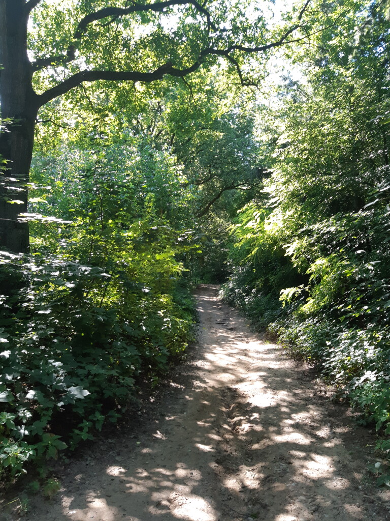 Historische wandelroute Bergherbos
