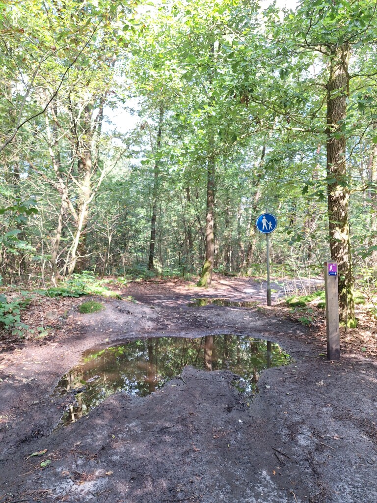 Boswachterspad Cultuurroute 't Leesten