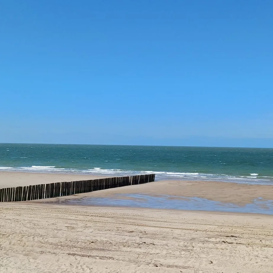 Boswachterspad Meeuwenduinen 