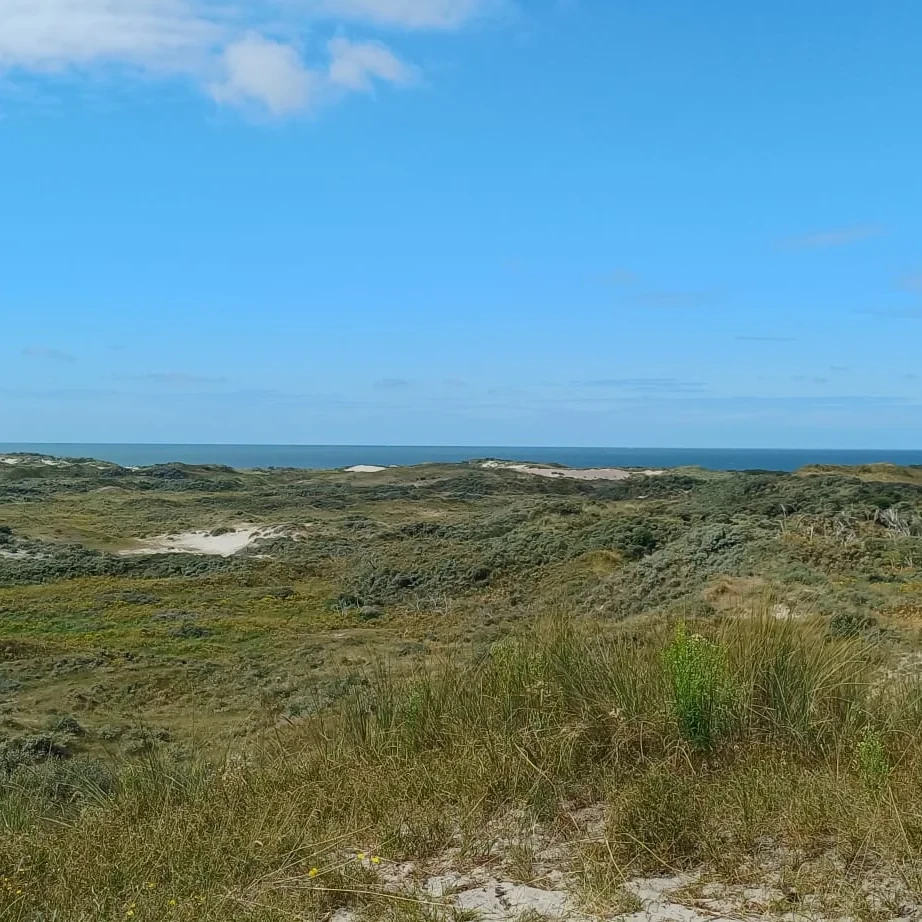 Boswachterspad Meeuwenduinen 