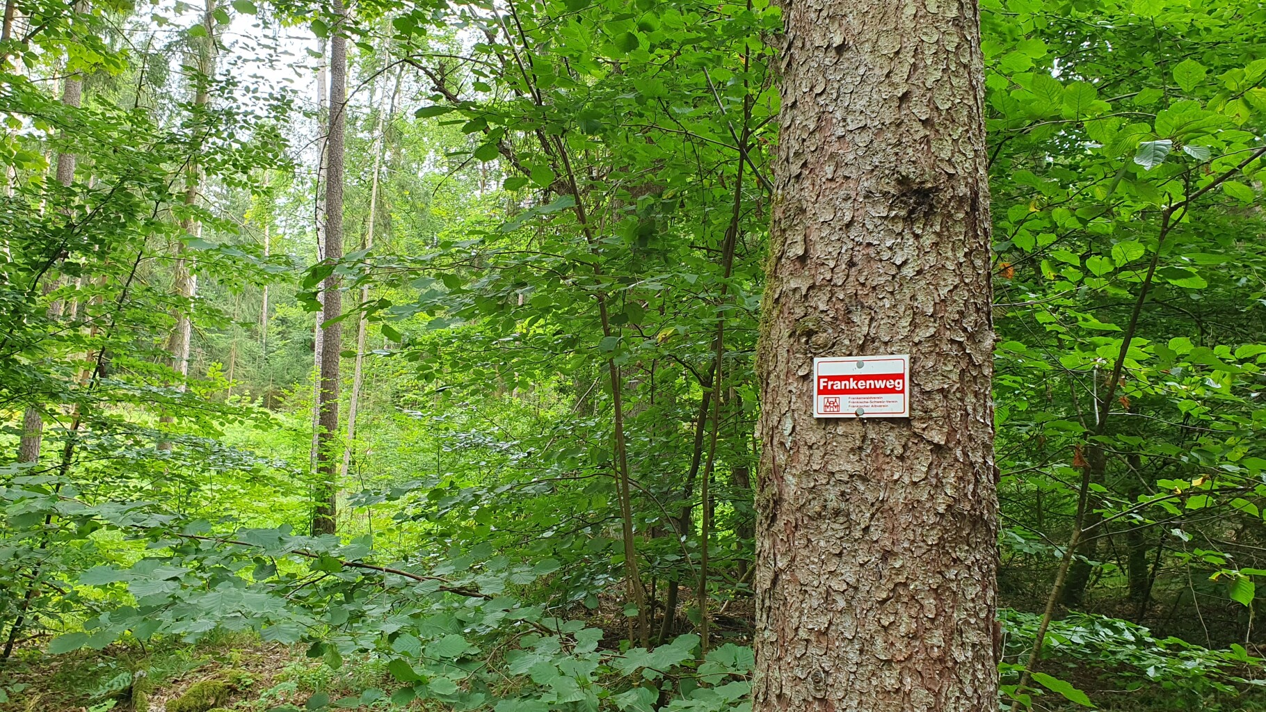 Muggendorf - Pottenstein · Frankenweg etappe 11