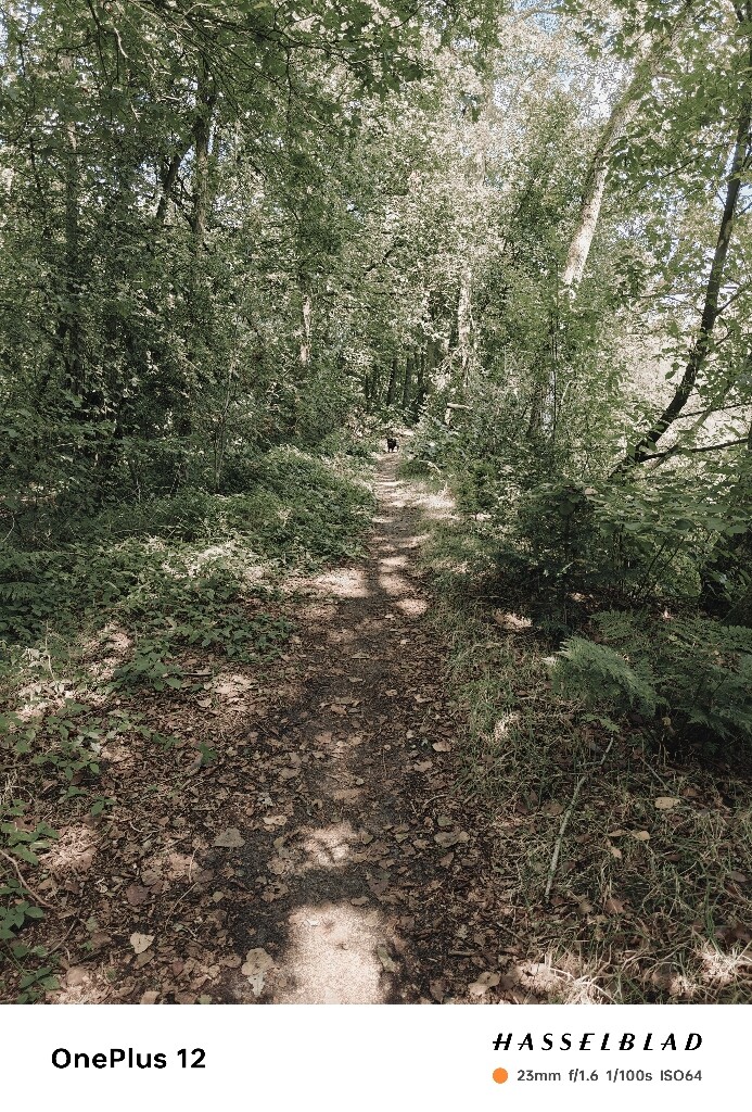 Boxtel - Sint-Oedenrode · Brabants Vennenpad etappe 2