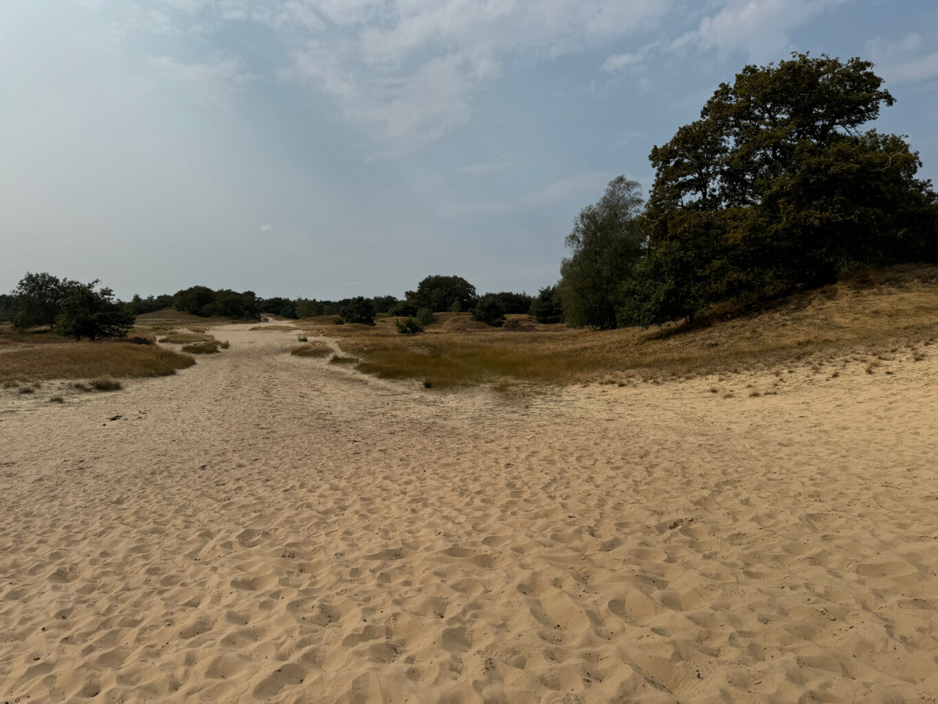 Drunen - Distelberg · Pelgrimspad etappe 11