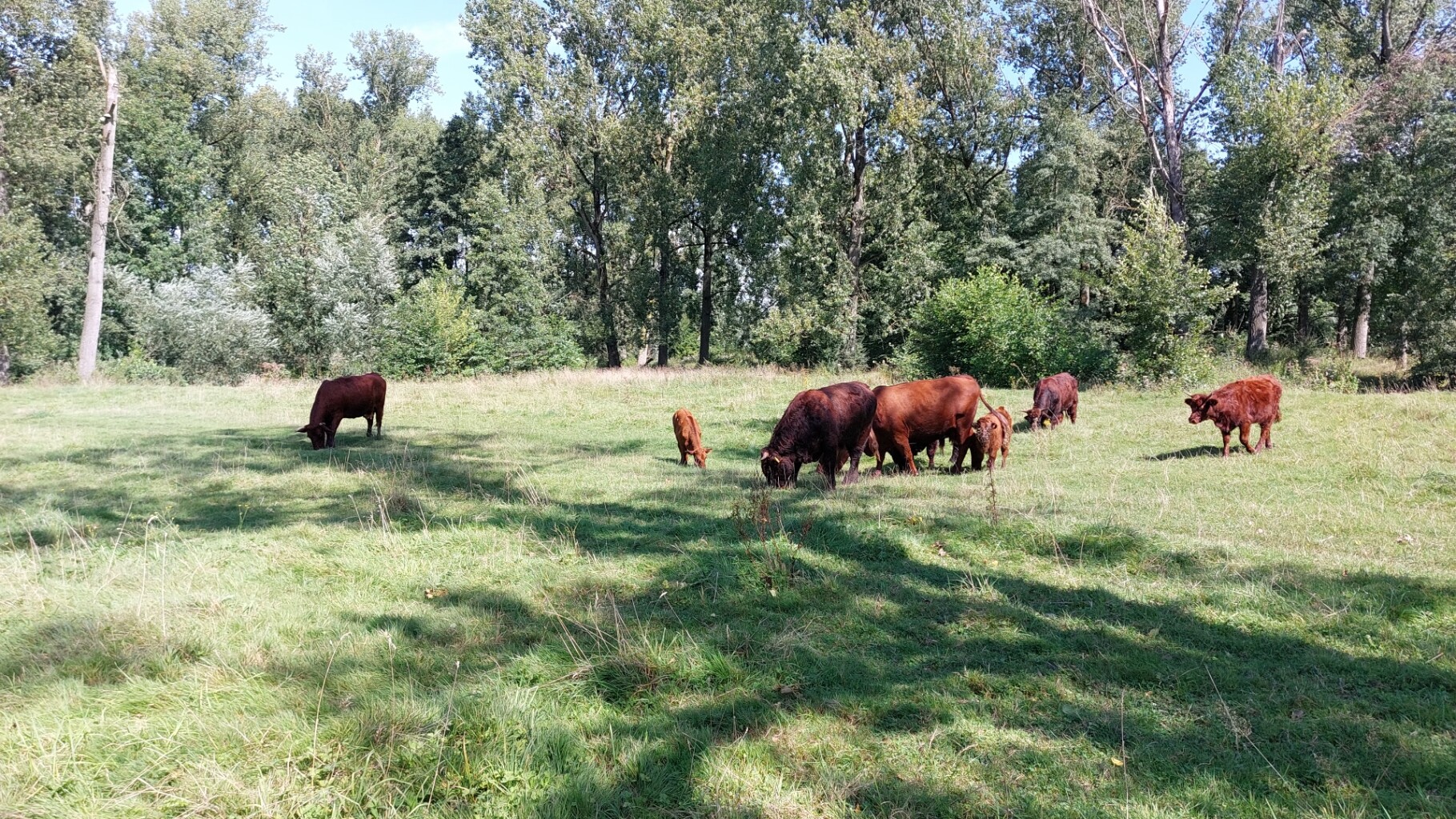 Vaals - Gulpen · Krijtlandpad etappe 4