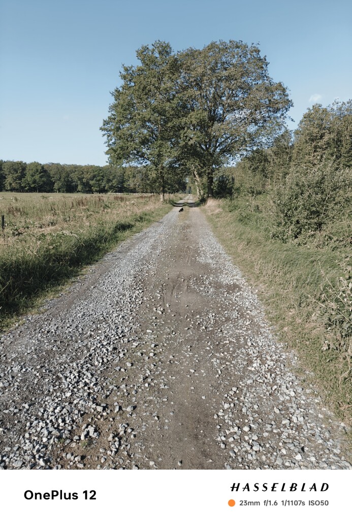 Heeze station - Soerendonk · Brabants Vennenpad etappe 6