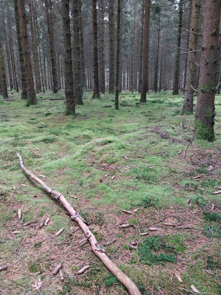 Wandelroute Veenpluisroute