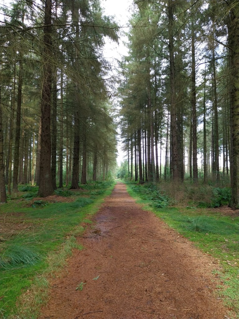 Wandelroute Veenpluisroute