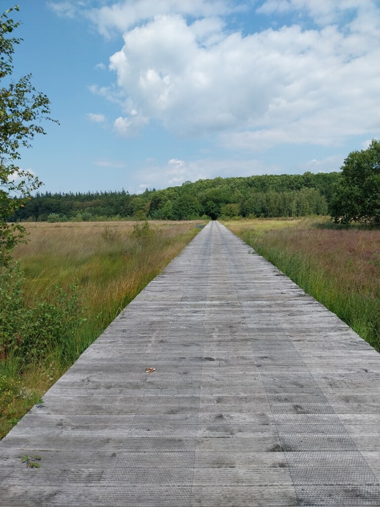 Wandelroute Veenpluisroute