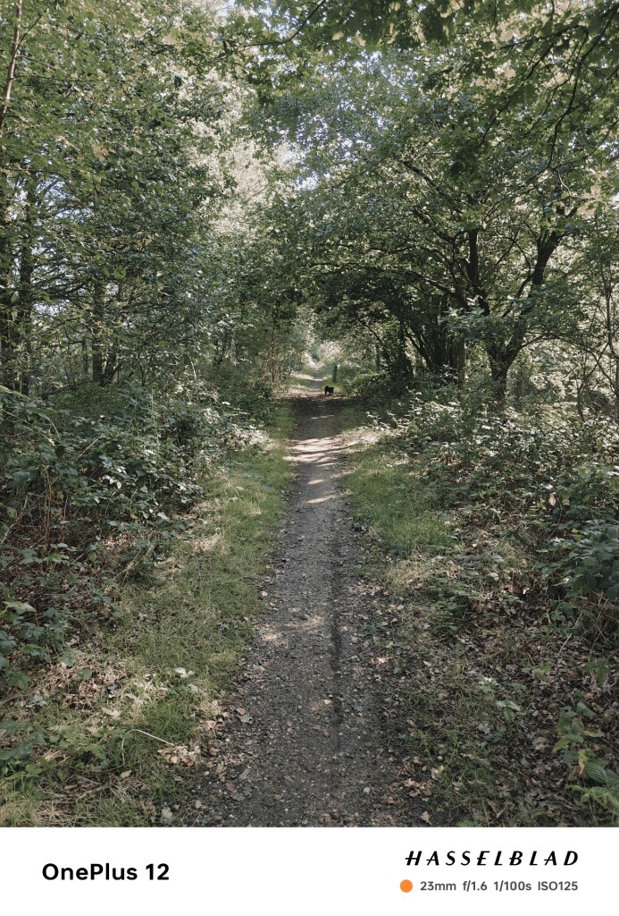 Boxtel - Sint-Oedenrode · Brabants Vennenpad etappe 2
