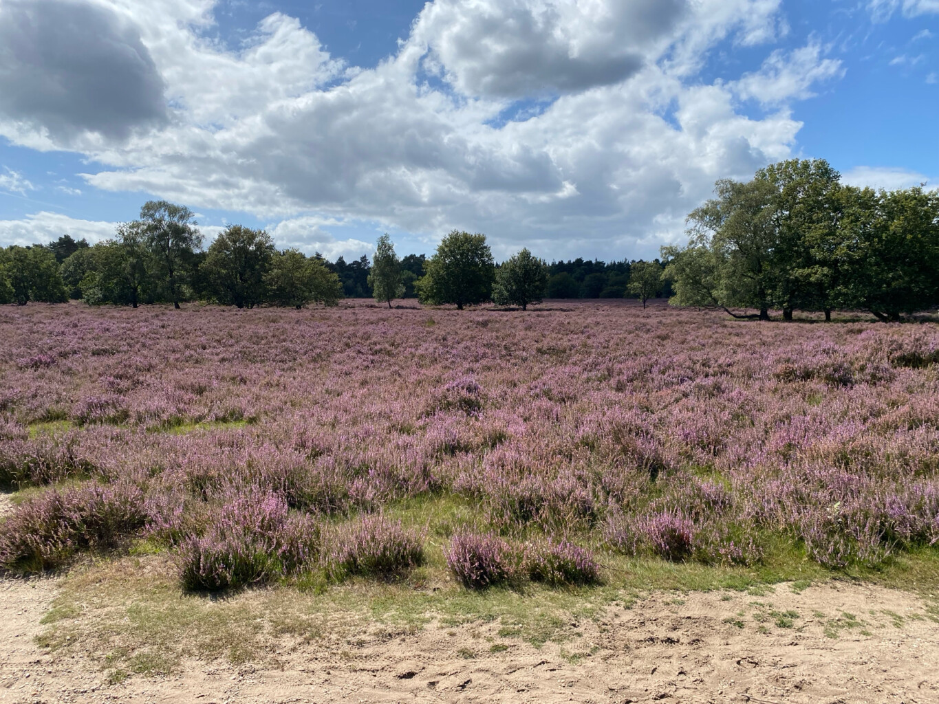Kootwijk - Garderen · Veluwe Zwerfpad etappe 6