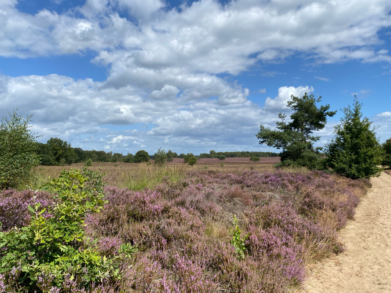 Kootwijk - Garderen · Veluwe Zwerfpad etappe 6
