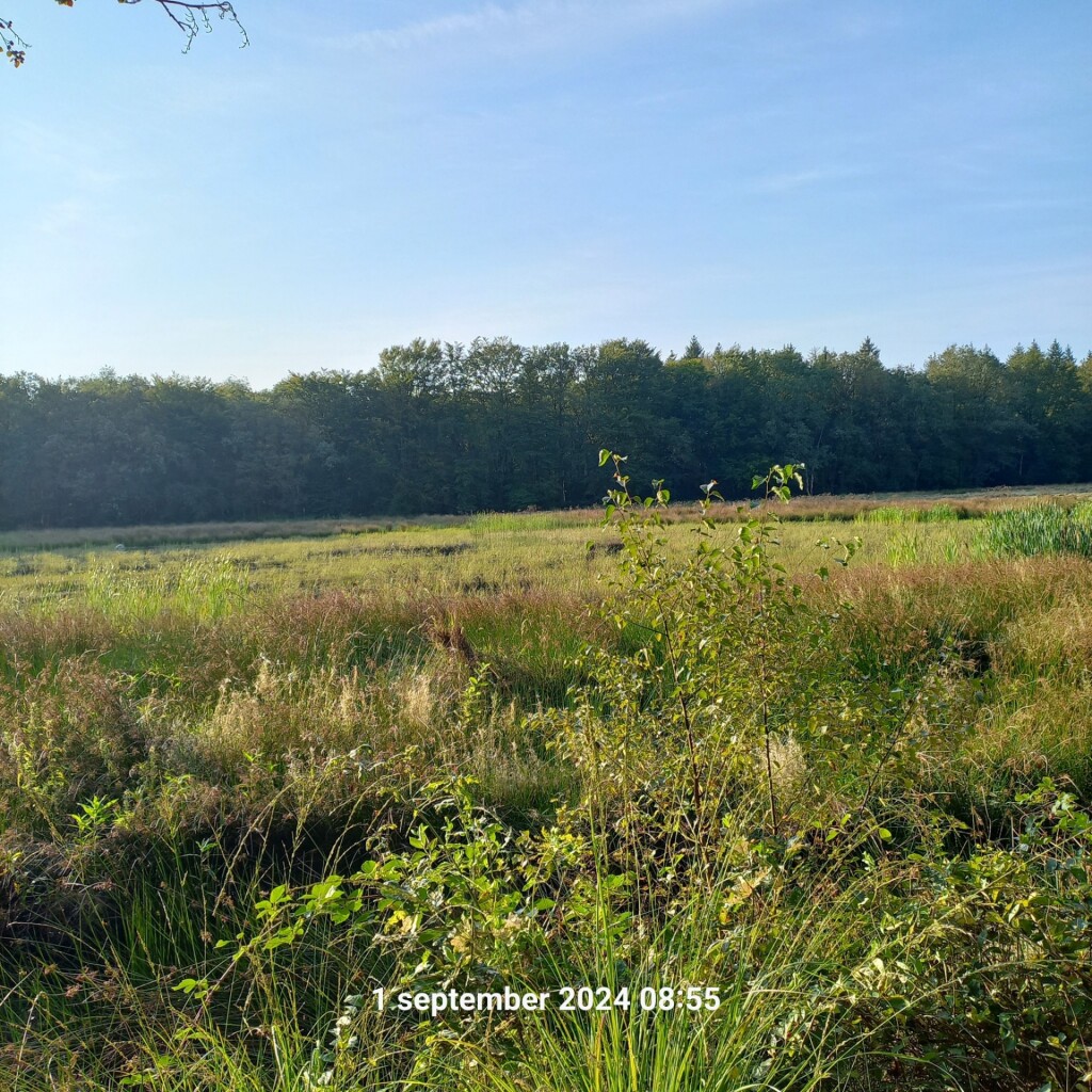 Boswandeling De Slotplaats in Bakkeveen (Friesland)