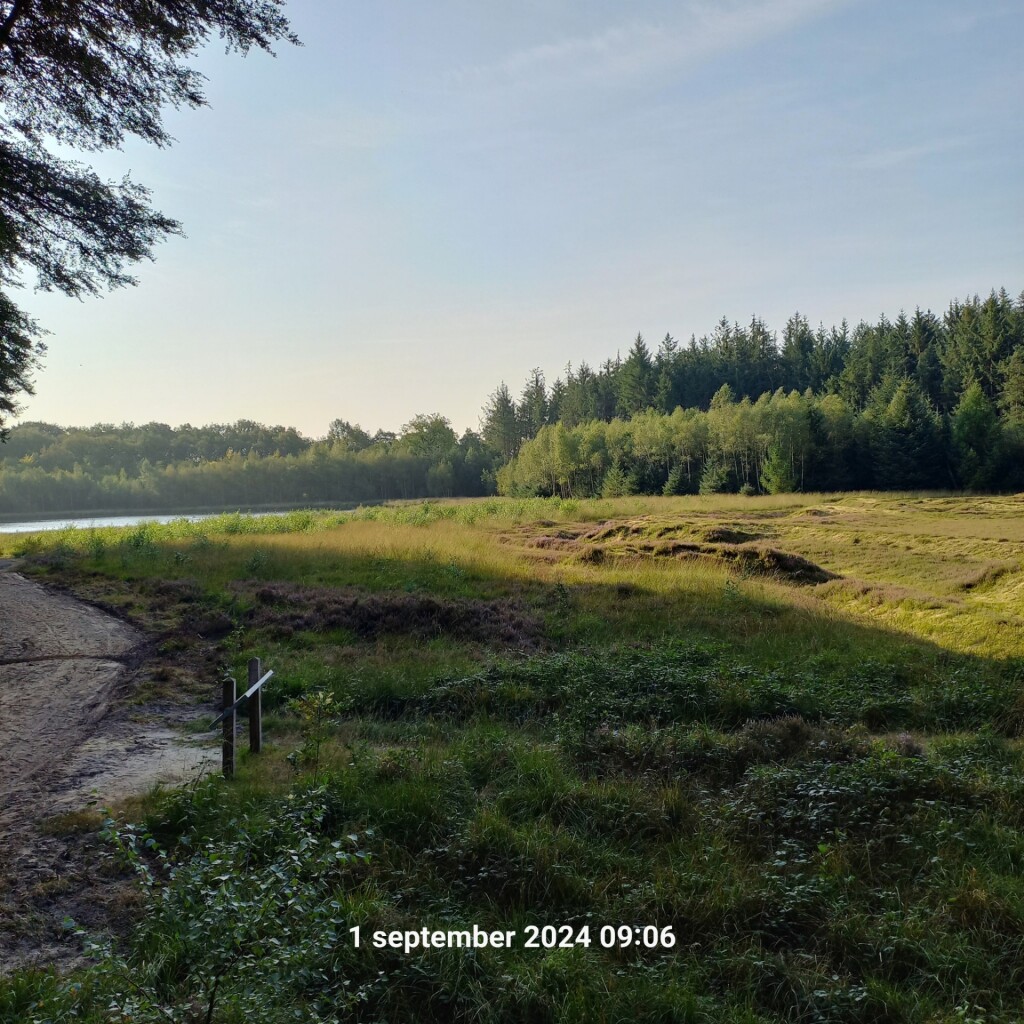 Boswandeling De Slotplaats in Bakkeveen (Friesland)