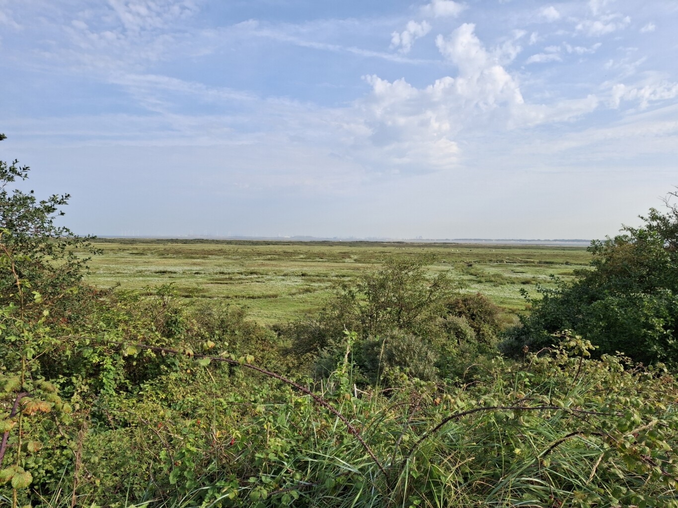 Wandelroute De Koploper in de duinen van Goeree (deel 2)