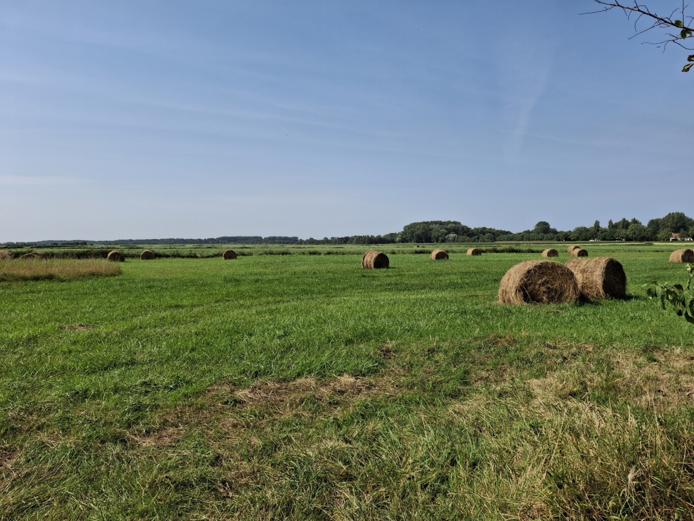 Wandelroute De Koploper in de duinen van Goeree (deel 2)