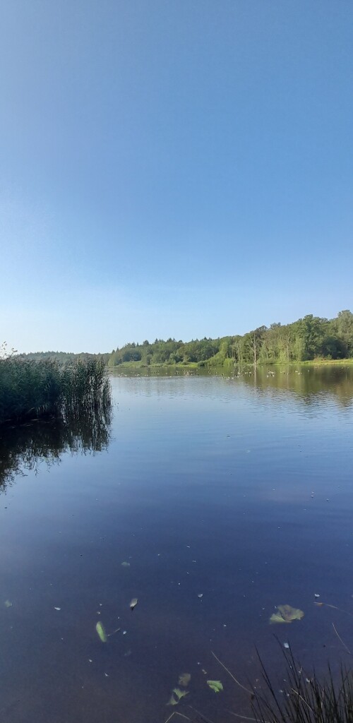 Venlo - Arcen · Maas-Niederrheinpad etappe 1
