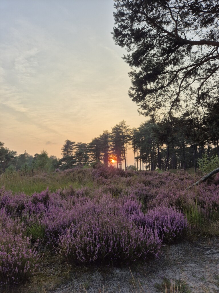 Wandelroute Haas, vlak bij Ossendrecht