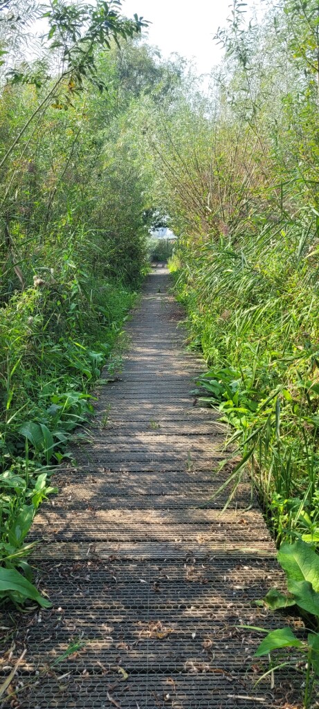 Leerdam - Geldermalsen · Grote Rivierenpad etappe 10