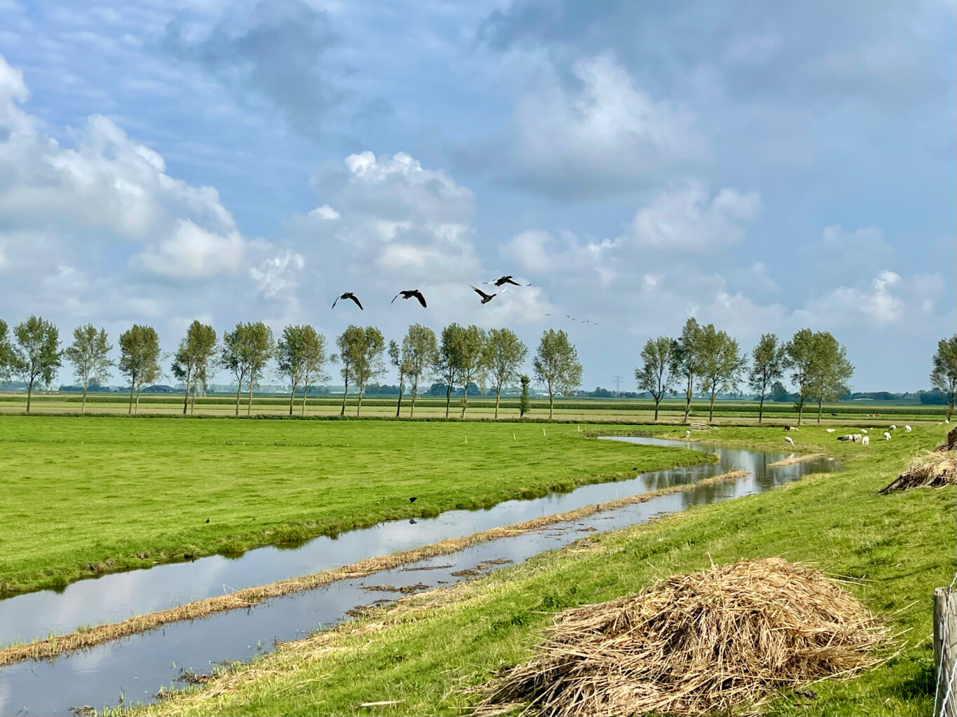 Alkmaar - Graft · Trekvogelpad etappe 2