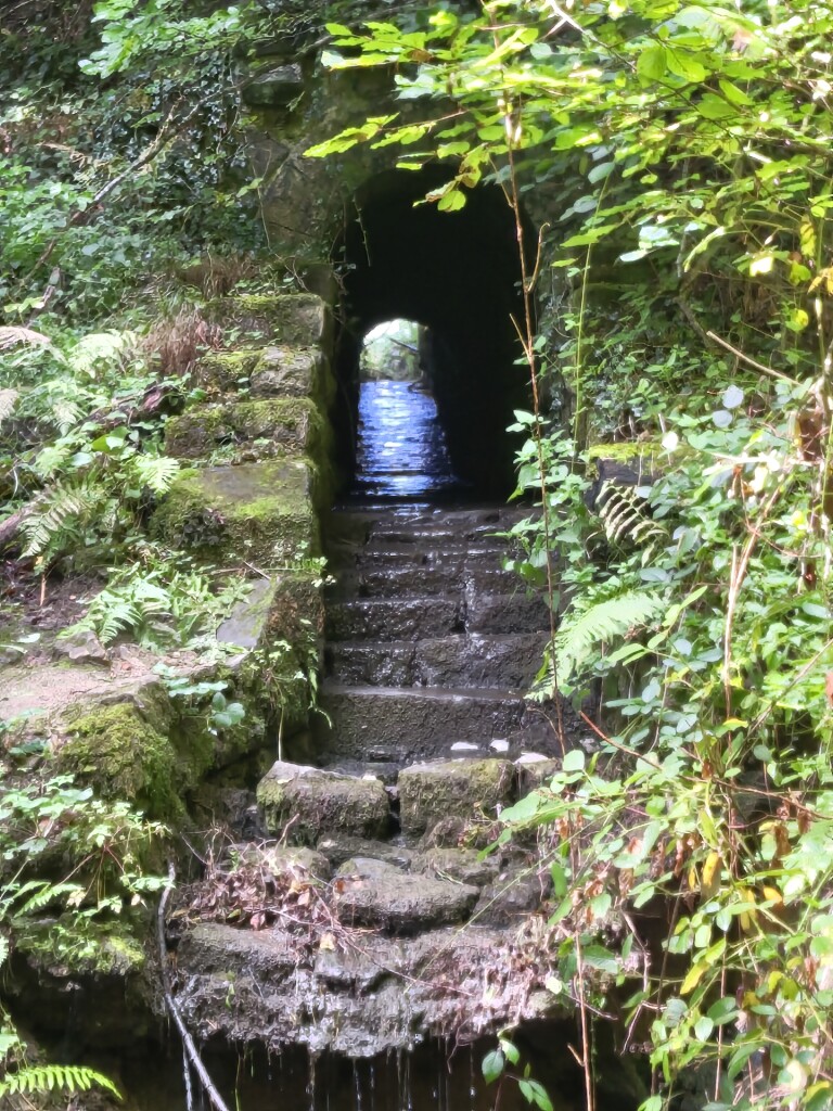 Scheidgen - Echternach · Mullerthal Trail etappe 13