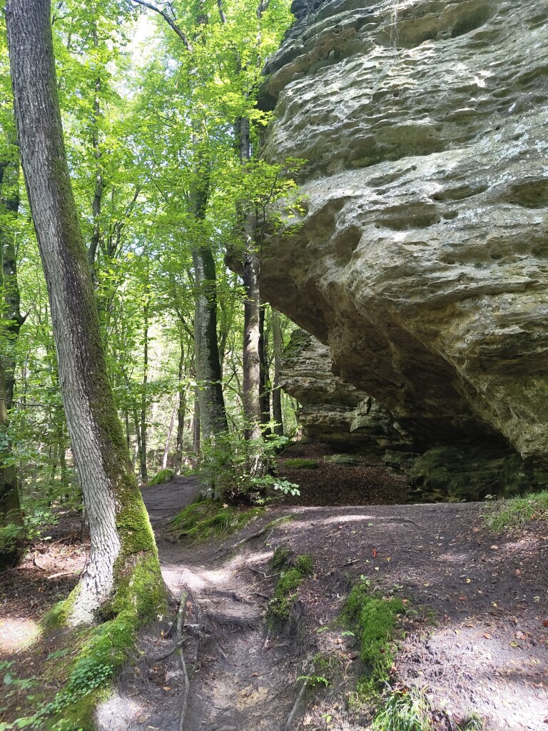 Scheidgen - Echternach · Mullerthal Trail etappe 13