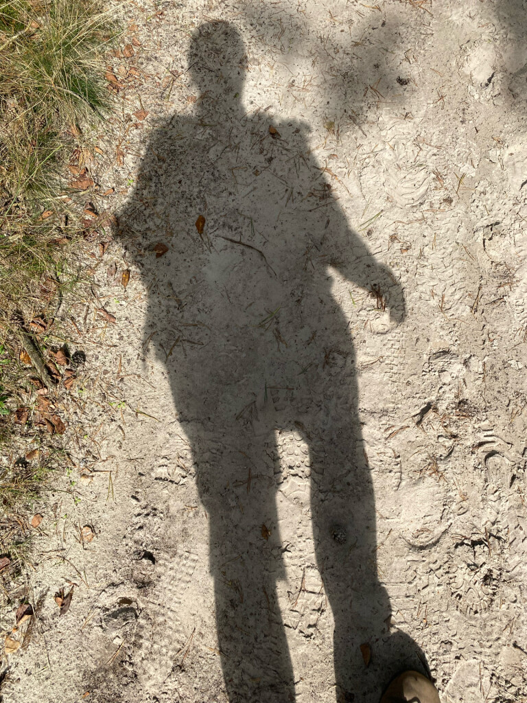 Diever - Appelscha · Drenthepad etappe 4