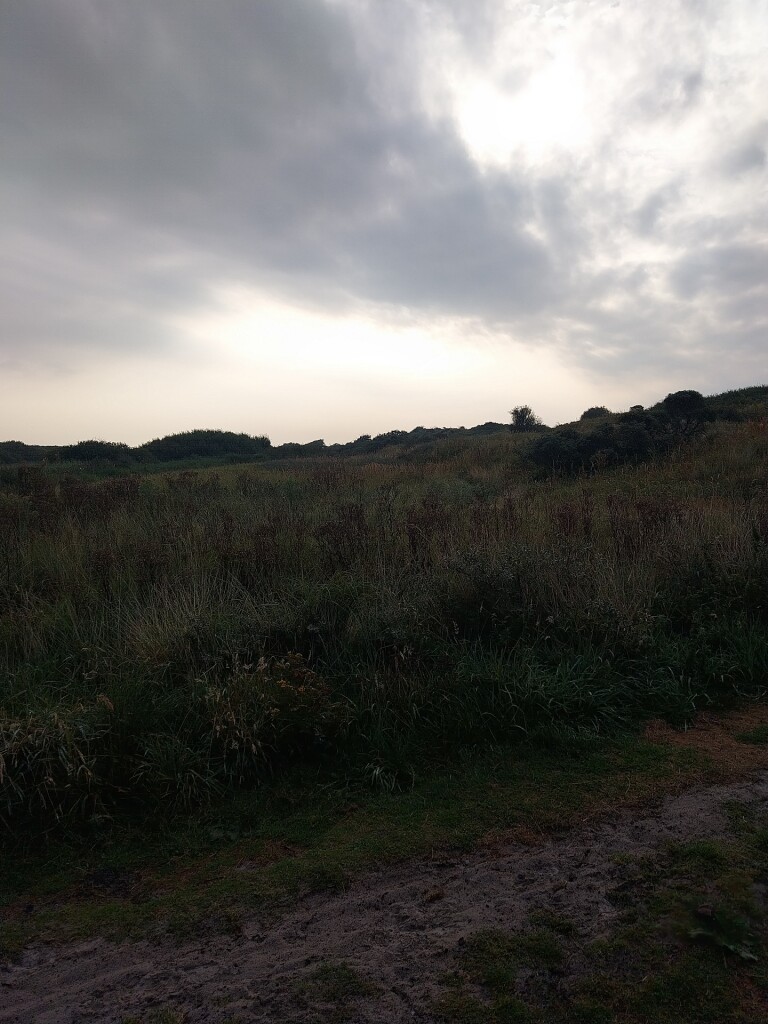 Ameland 2: Boomhiemke bungalowpark - Strandhotel Buren aan Zee · WaddenWandelen etappe 14