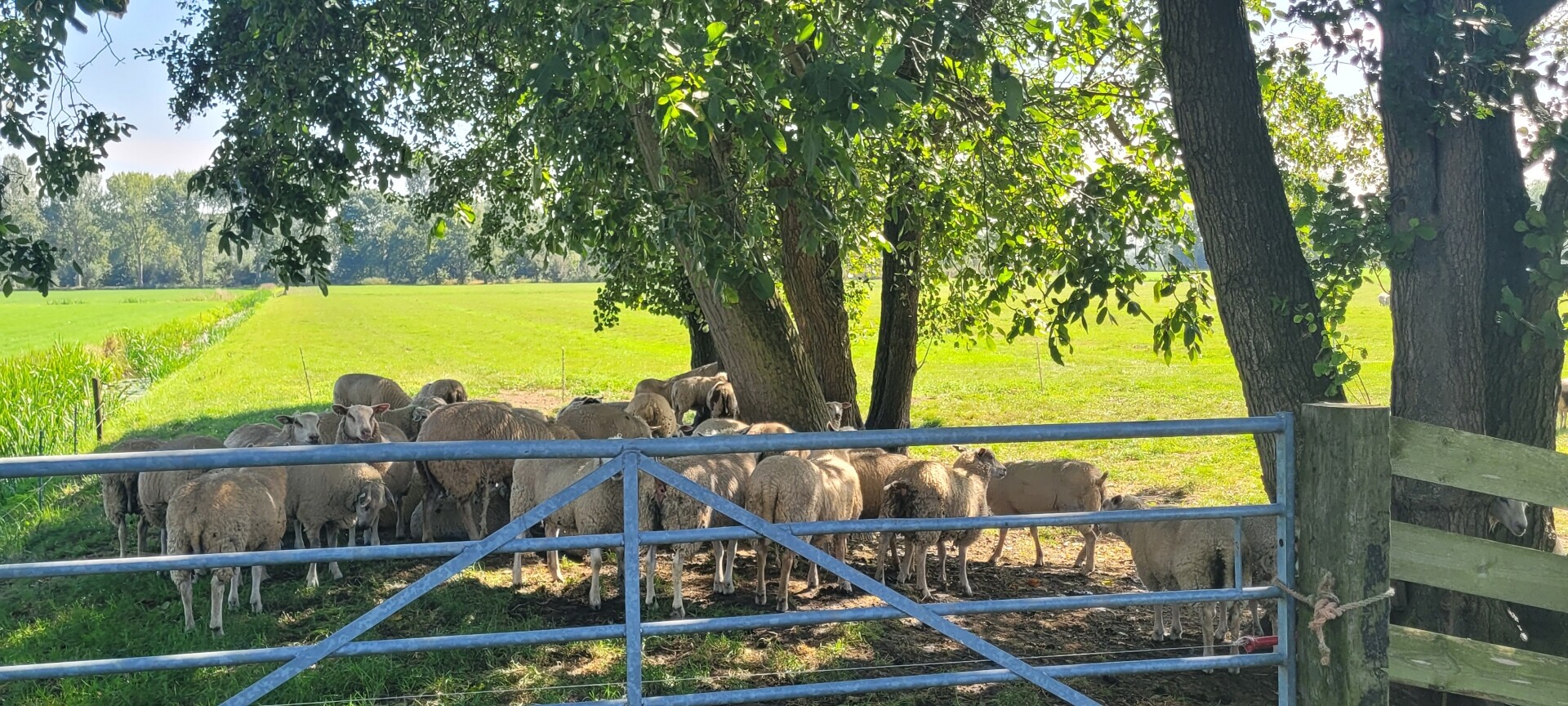 Hei- en Boeicop - Leerdam · Grote Rivierenpad etappe 9