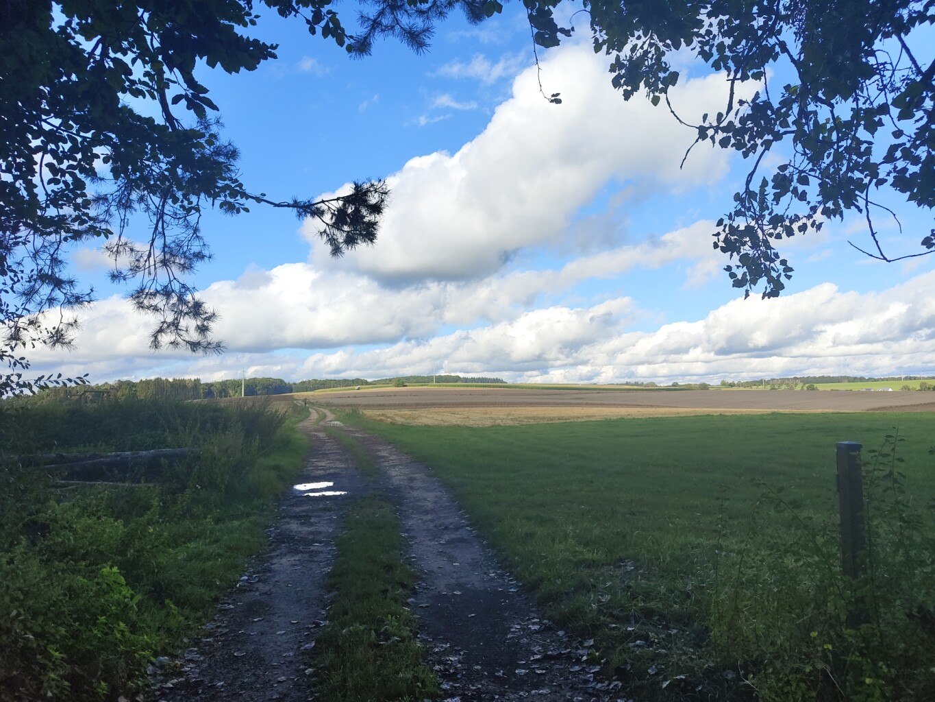 Blumenthal - Larochette · Mullerthal Trail etappe 8