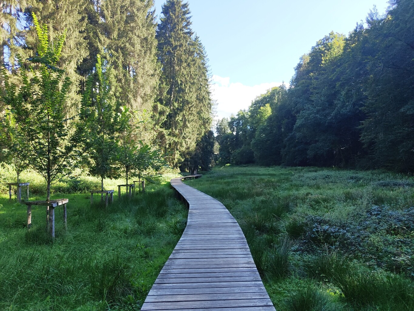 Larochette - Beaufort · Mullerthal Trail etappe 9