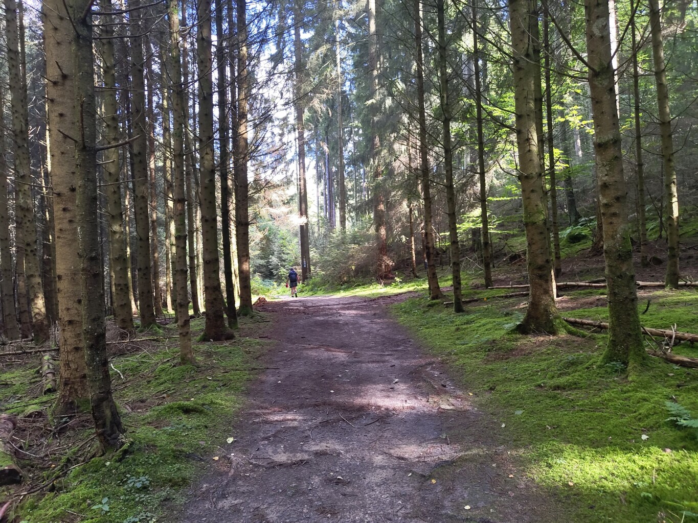 Larochette - Beaufort · Mullerthal Trail etappe 9