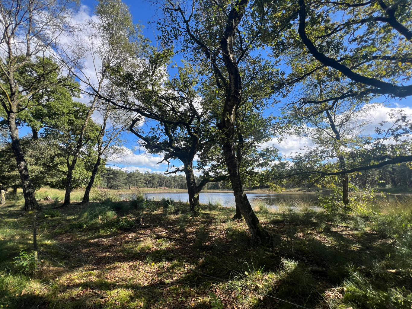 Heeze station - Maarheeze station · Pelgrimspad etappe 17