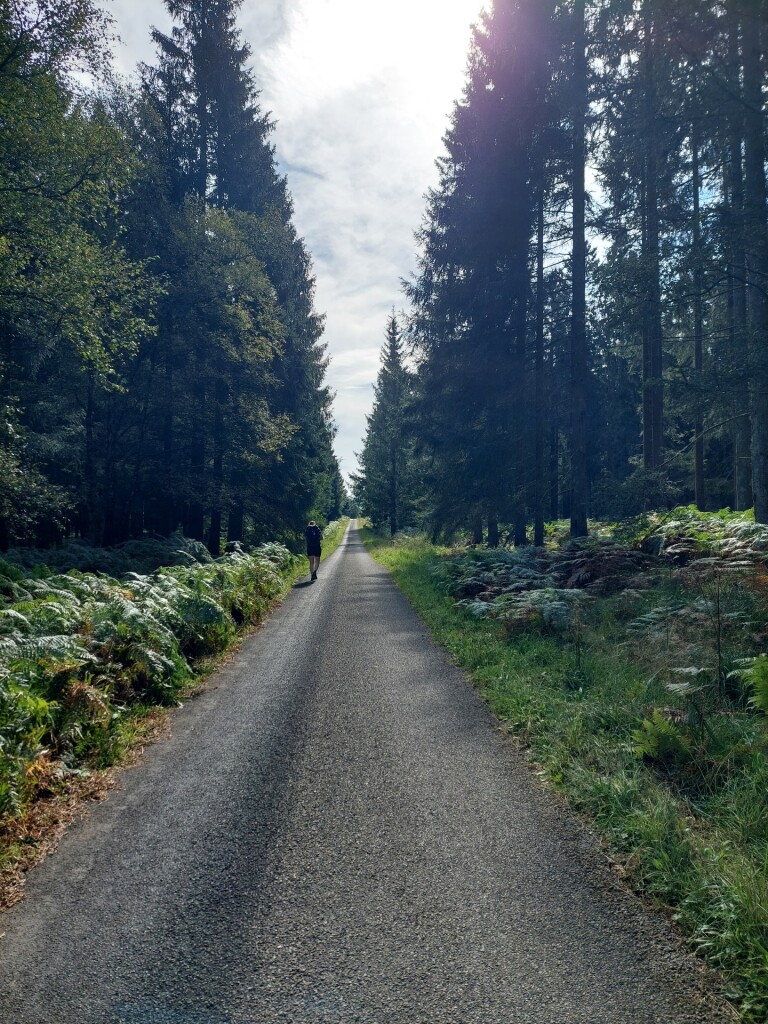 Roetgen - Monschau · Eifelsteig etappe 2