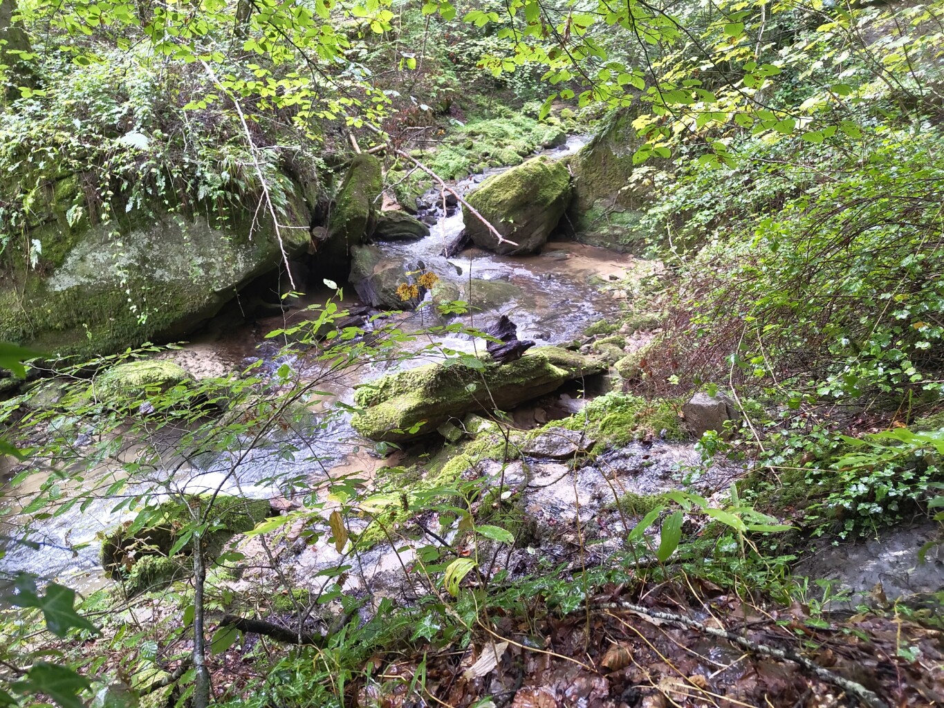 Beaufort - Mullerthal · Mullerthal Trail etappe 10