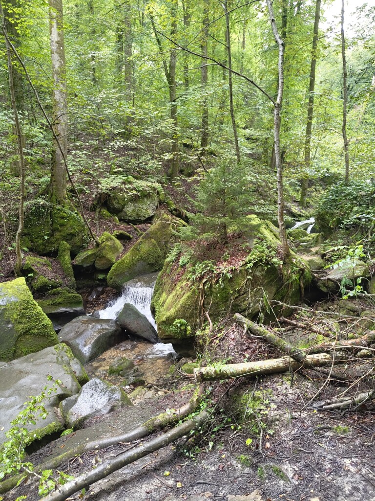 Beaufort - Mullerthal · Mullerthal Trail etappe 10