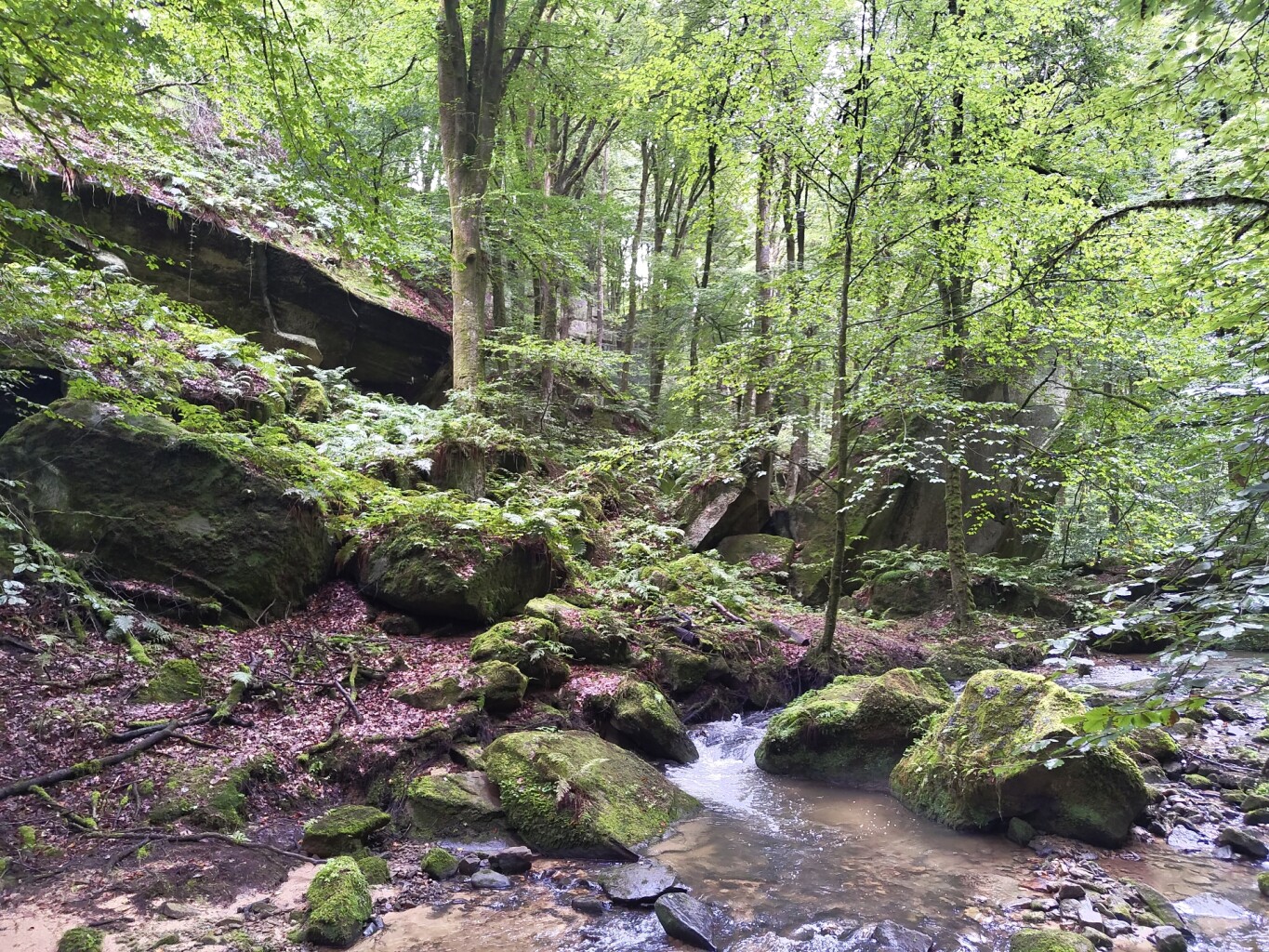 Beaufort - Mullerthal · Mullerthal Trail etappe 10