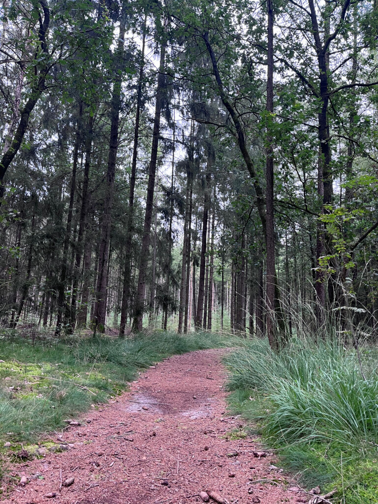 Wandelroute Valtherspaan