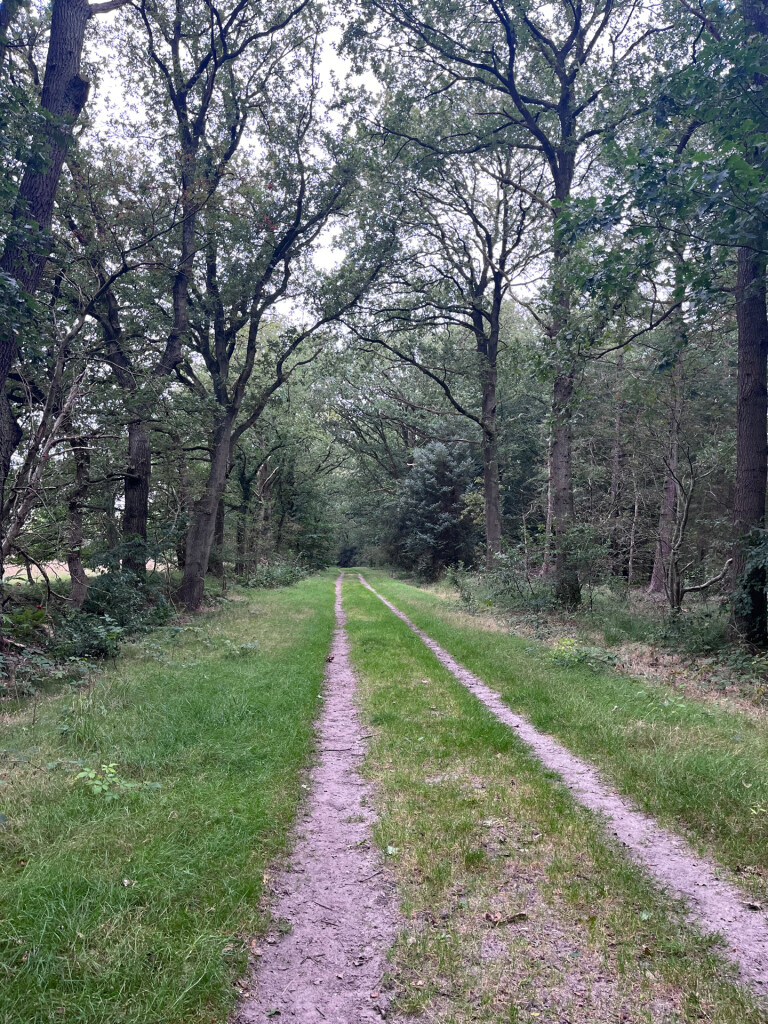 Wandelroute Valtherspaan