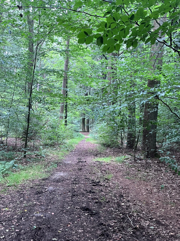 Wandelroute Valtherspaan