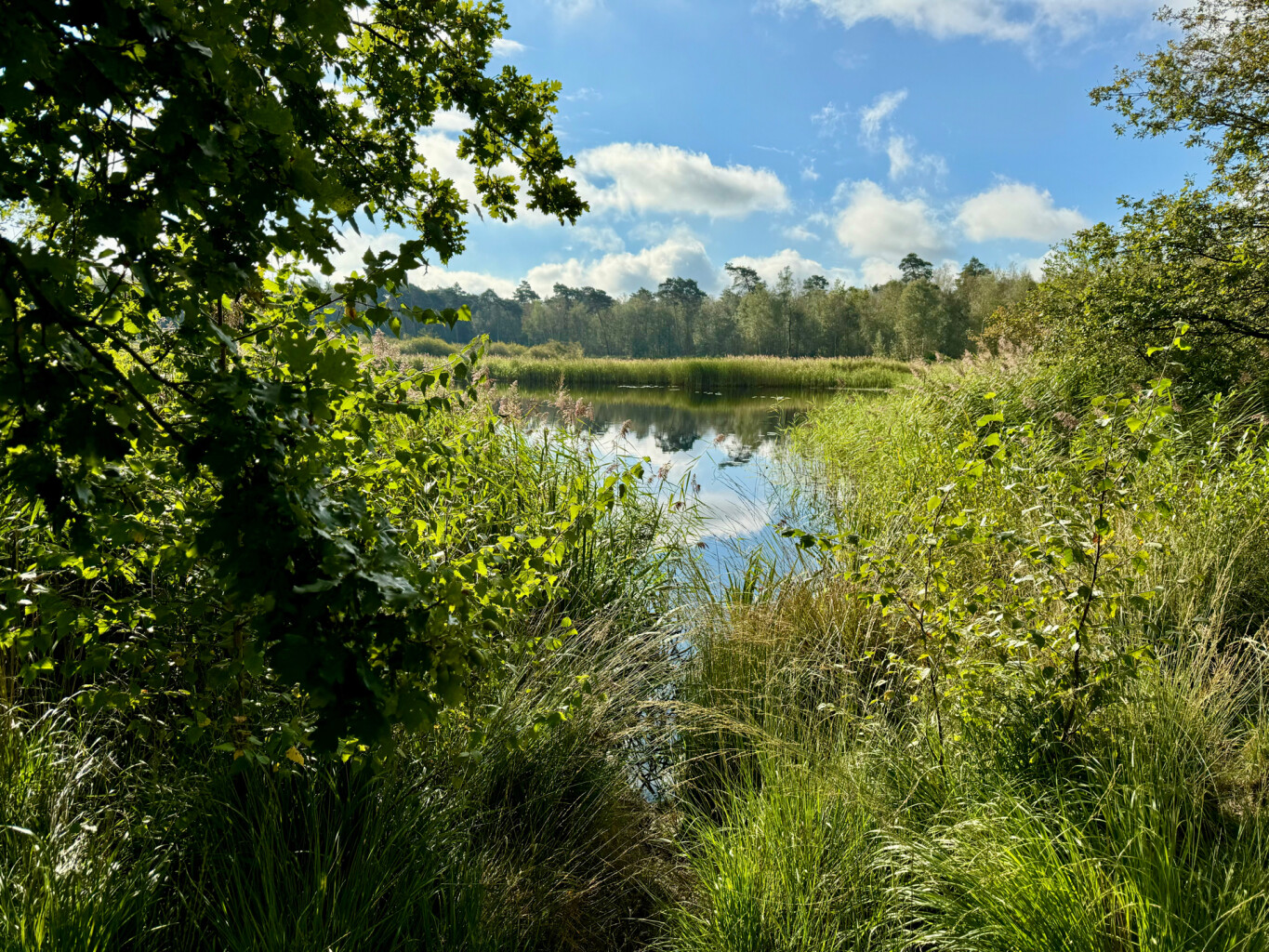 Maarheeze station - Weert · Pelgrimspad etappe 18