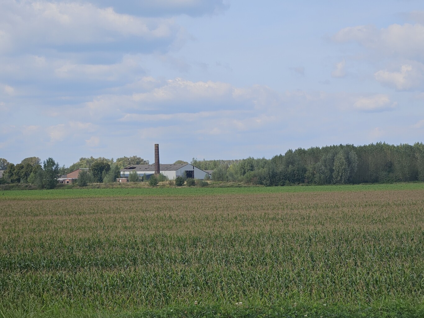Beusichem (bushalte Kerk) - Maurik (bushalte Pr. Marijkelaan) · Betuwepad etappe 7