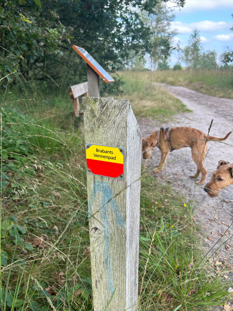 Luyksgestel - Bladel · Brabants Vennenpad etappe 9